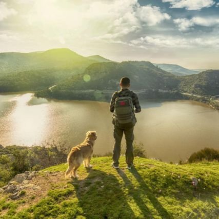 flife0830's profile picture. 