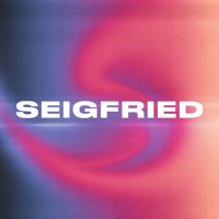 Seigfried(@seigfriedco) 's Twitter Profile Photo