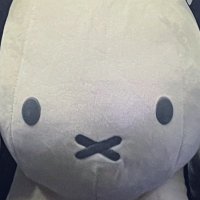 すずめ (@tocomcom) 's Twitter Profile