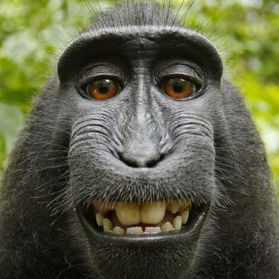 c0cob's profile picture. 