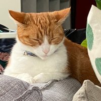 Max A Million (@maxamillion7319) 's Twitter Profile