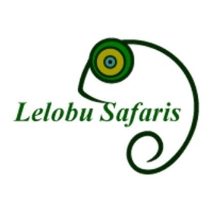 Lelobu Safaris