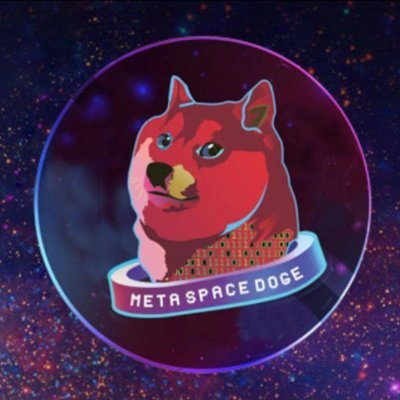 MetadogeSpace Profile Picture