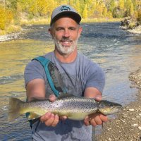 Ron Zimmerman (@ibzim) 's Twitter Profile