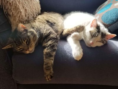 CarolCo27368660's profile picture. 