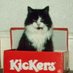 Cherie (@brianthecat) Twitter profile photo Cherie (@brianthecat) Twitter profile photo
