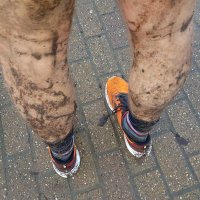 Neil (@neiltween) 's Twitter Profile
