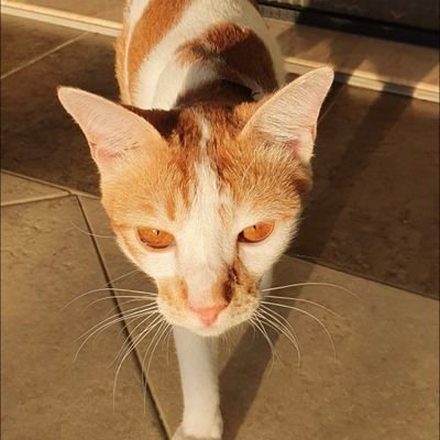 Nills_N_'s profile picture. 