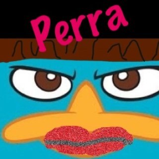 im_parra's profile picture. Hey everybody my name is Parra the platypus! my secret chrush is @ImPerryPlatypus