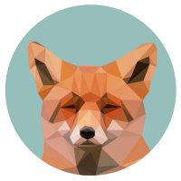 shino (@oberfux) 's Twitter Profile