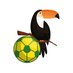 FPL_Toucan (@FPL_Toucan) Twitter profile photo