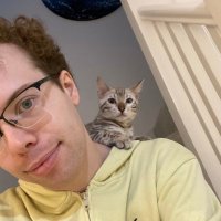 Josh (@joshbal4) 's Twitter Profile