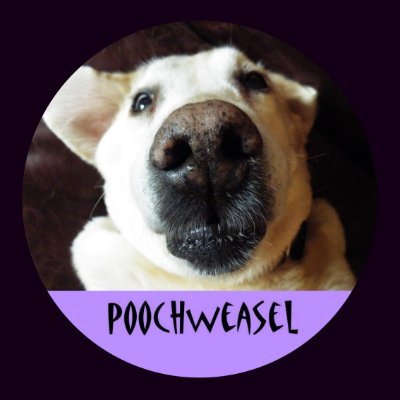 poochweasel Profile Picture