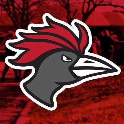 WHESRoadrunners Profile Picture