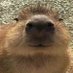gort (@itisgort) Twitter profile photo gort (@itisgort) Twitter profile photo