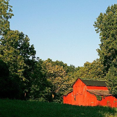 The Georgetown Pike Rural Preservation Trust exists to preserve and restore the rural heritage of McLean and Great Falls, Virginia