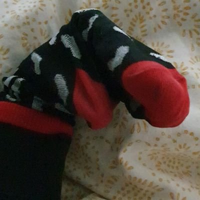 showercurtain7's profile picture. she/her hablo español. 我想是您的朋友。
Peace, Love, Freedom, Kindness, Unity, Friendship for all.  We are the world.