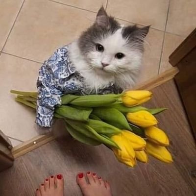 njxixix's profile picture. เป็นคอนเทนต์ครีเอเตอร์แล้ว 🐨