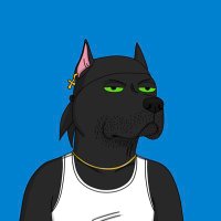 David Vitelli (@davevitelli) 's Twitter Profile