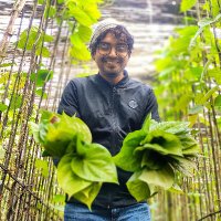 Kawsar Ahamed (@kawsarxyz) 's Twitter Profile