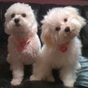 Joy Hobbs - @JoyHobbs22 - Twitter