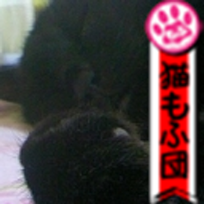 猫大好きフリスキー Catnip Zzz Twitter