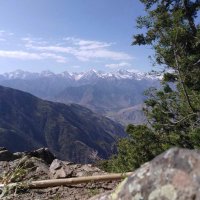 SP (@p_savriev) 's Twitter Profile