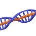 Metal_DNA Lab (@galindo_lab) Twitter profile photo Metal_DNA Lab (@galindo_lab) Twitter profile photo