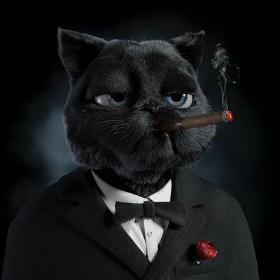 Founder of the @KittyCryptoGang | NFT Investor and Advisor