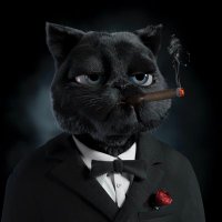 Catfather.eth (@thecatfatheroff) 's Twitter Profile