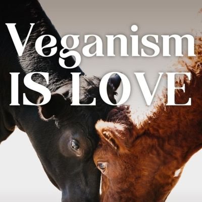 vegan 4 animals.🌱🐈🐕🐷🐄🐘❤️🇺🇸🇮🇳