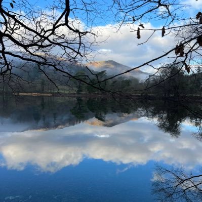 Turboangel17's profile picture. 