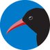 Cornish Choughs 〓〓 (@cornishchoughs) Twitter profile photo