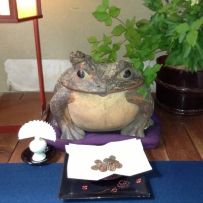 yamori360628's profile picture. ほとんどRTです。グンマーです。ワクチン5回目接種しました！