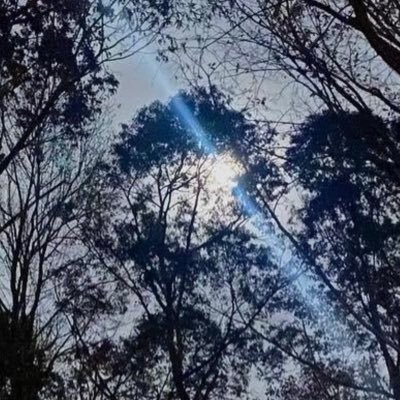 Web3Services's profile picture. 