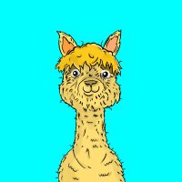 Space Alpacas (@spacealpacanft) 's Twitter Profile