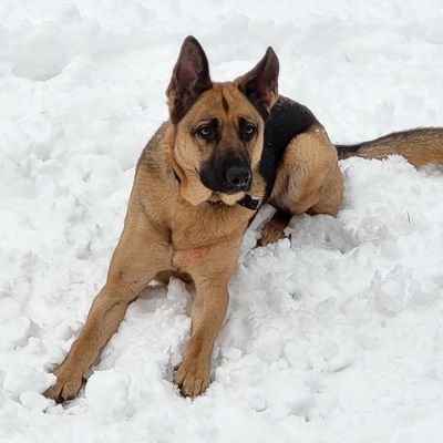 Nomad_Nivlem's profile picture. He/He/Hell