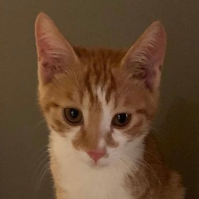 DOCHI1106 Profile Picture