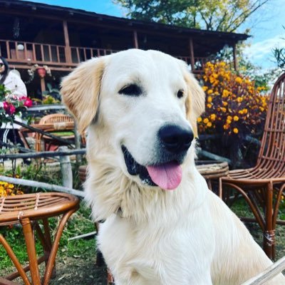 NayalVarun's profile picture. 