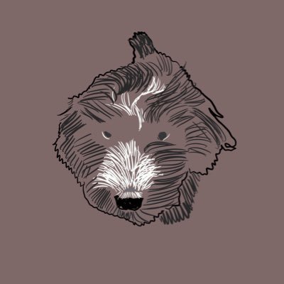 otter_ee's profile picture. what is even going on!