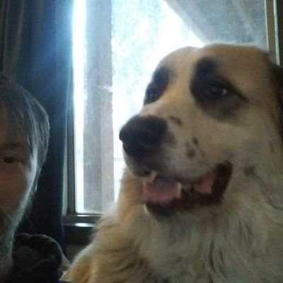 holdenstefe's profile picture. owner and operator of goods, games, electronics & more