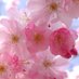 Moumita Sardar (@mou_tweet) Twitter profile photo Moumita Sardar (@mou_tweet) Twitter profile photo