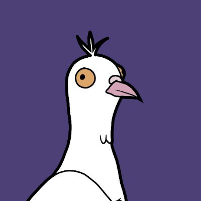 Pigeon Dude