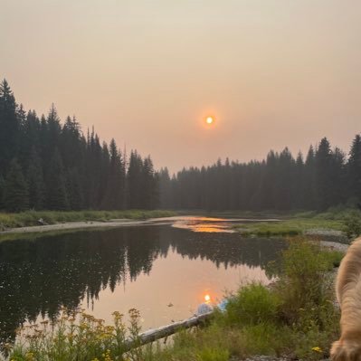 Kole_Akre's profile picture. $KoleMan208