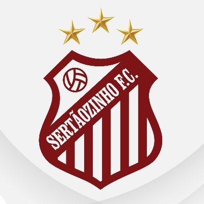 Touro Futebol Paulista