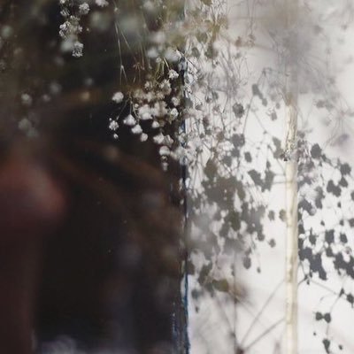 x7e0f1's profile picture. 