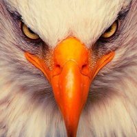 Alper Eser (@alpereser01) Twitter profile photo