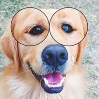Rocio Mendez (@rocio_mendez00) 's Twitter Profile