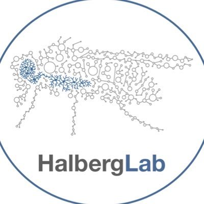 HalbergLab Profile Picture
