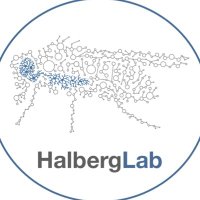 HalbergLab (@halberglab) 's Twitter Profile